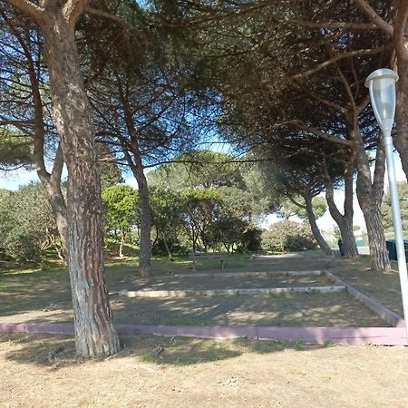 شقة Lara 3 - T2 Loggia Piscine 2 Lits Doubles Parking Pres Du Centre-Port Et Ile Loisirs آجد المظهر الخارجي الصورة